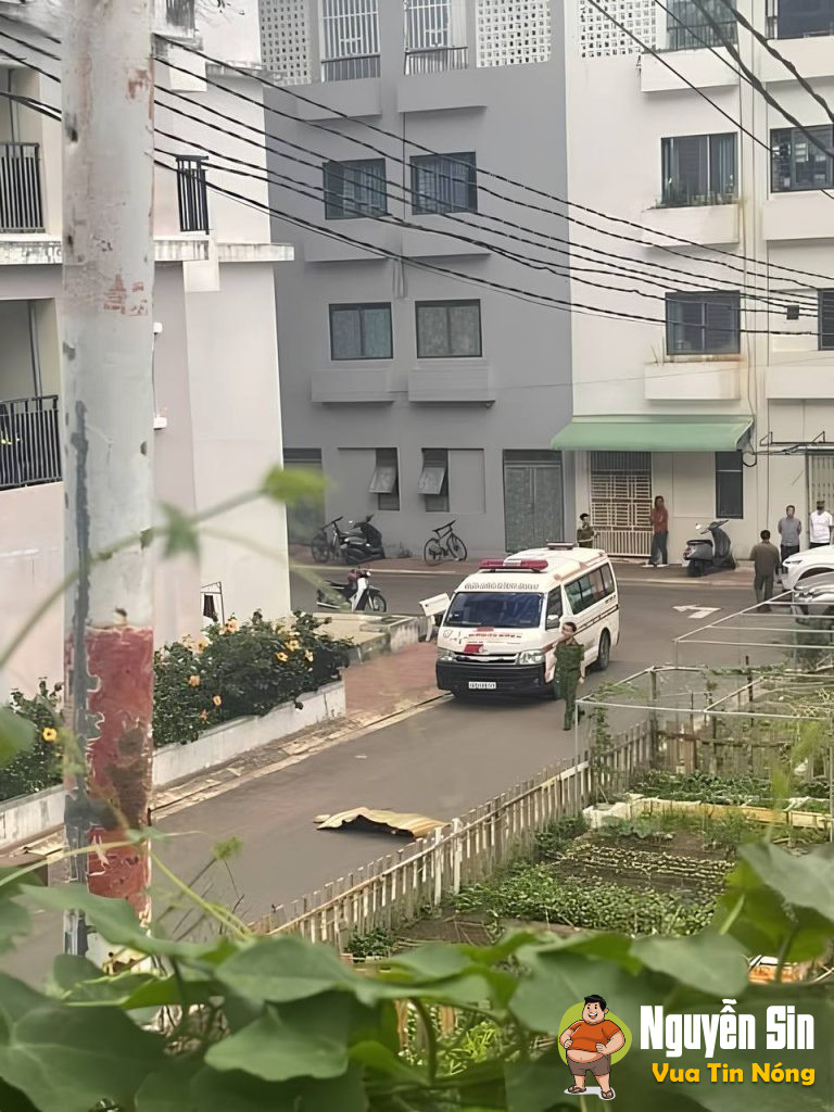 Phát hiện thi thể nam thanh niên nghi 44 tại Chung cư Xuân Thủy, Quy Nhơn