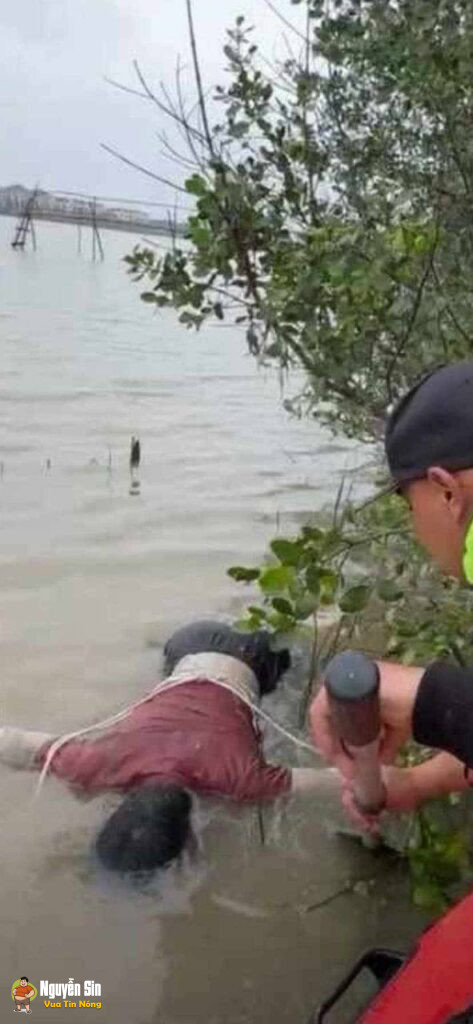 Cầu Bến Thuỷ – Nghệ An: Đã tìm thấy thithe nam sinh lớp 8 tự/tử ở dưới sông