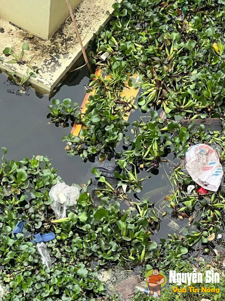 Hưng Yên: Nghe bảo cháu giết bà rồi ném xuống ao (chưa rõ nguyên nhân)