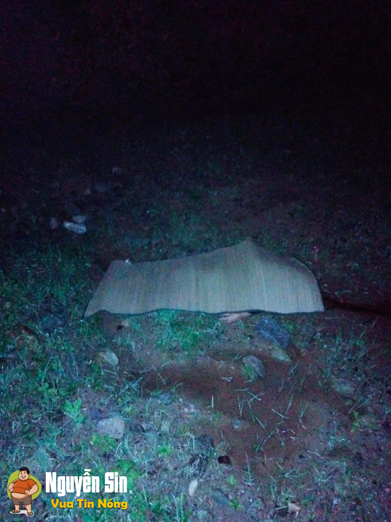 Móng Sến (Sa Pa)