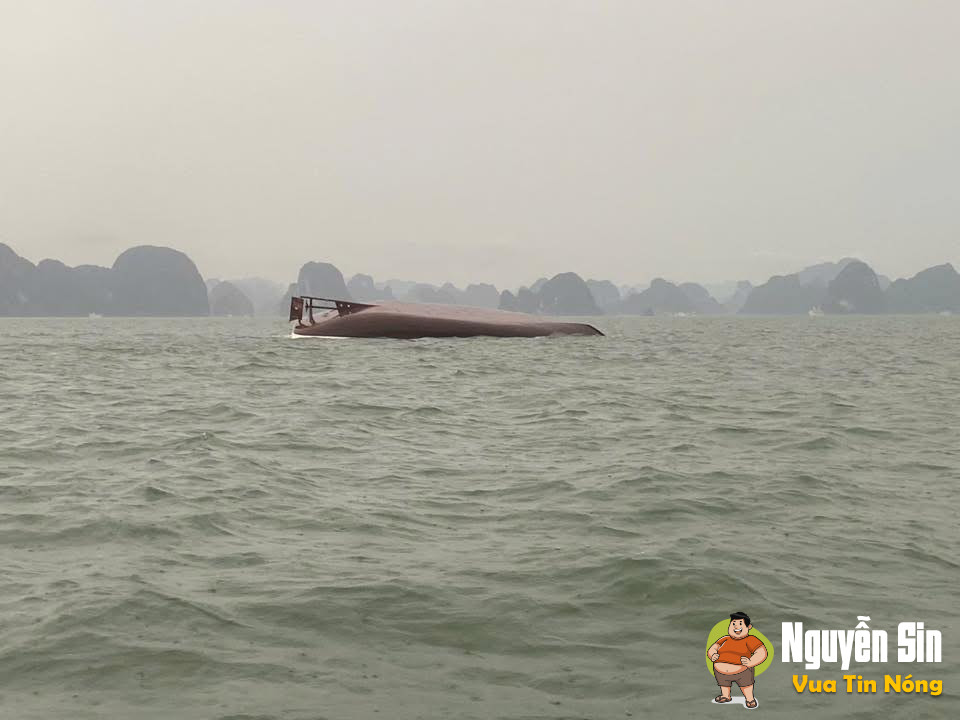 Chiều 19-7