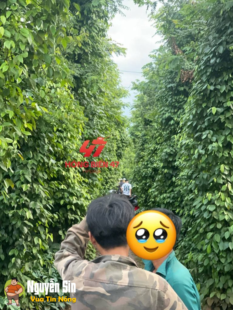 nhà nghỉ Nguyễn Thị Định – Đắk Lắk