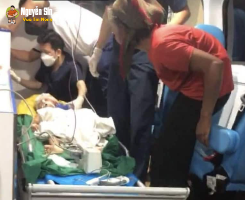Nghệ An : b3′ g@j’ 4t bj trâu h/úc tv th/ương t/âm