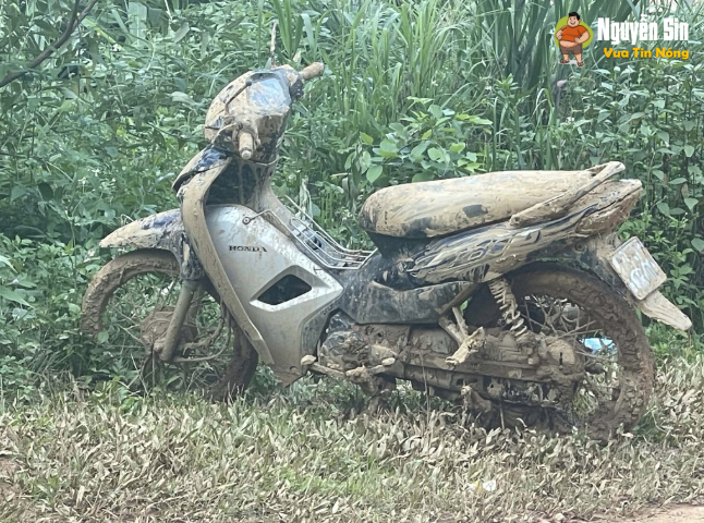 Người bố
