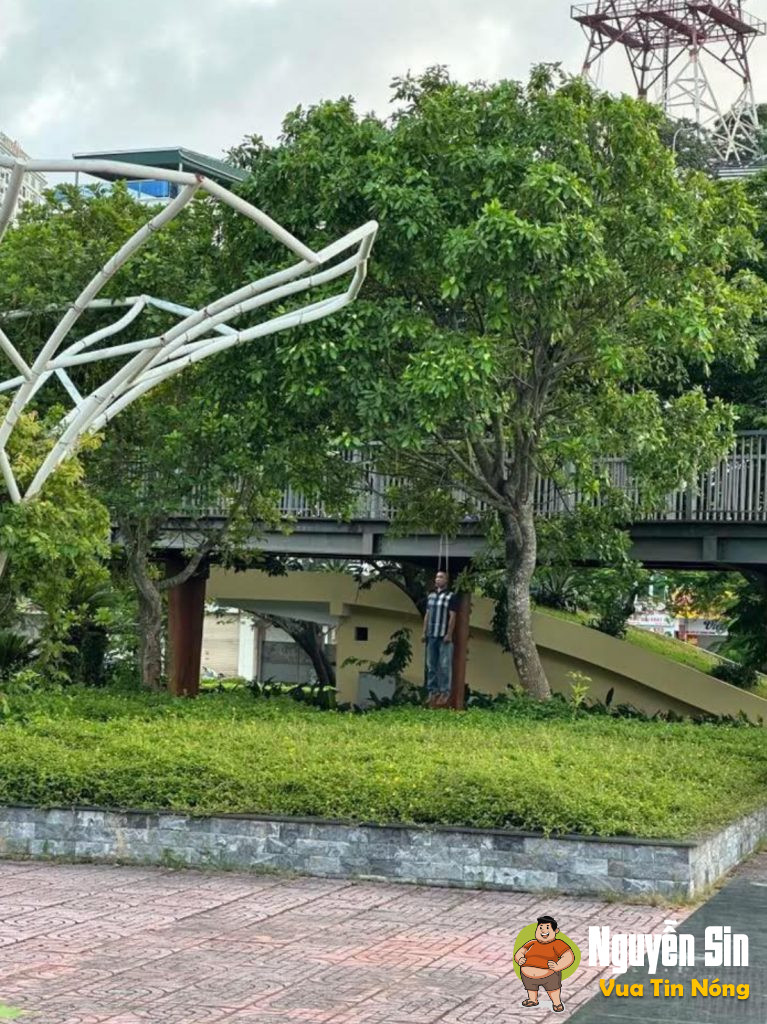 Công Viên Lán Bè – Hạ Long