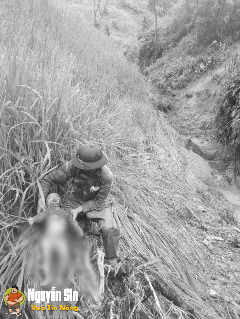 Người bố