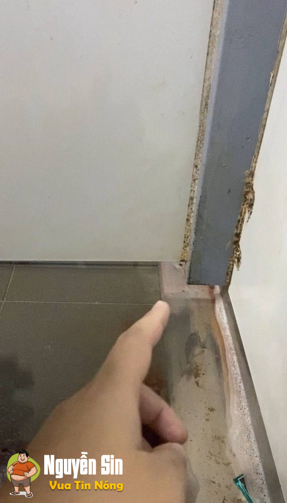 Cô gái gặp