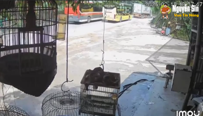 Vượt bất chấp rồi than nghề Tài nó p:ạc, chở bao nhiêu khách trên xe mà chạy ẩu v bác Tài