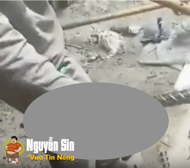 TNLĐ ở Brazil cổ tay bi thanh xje^n qua