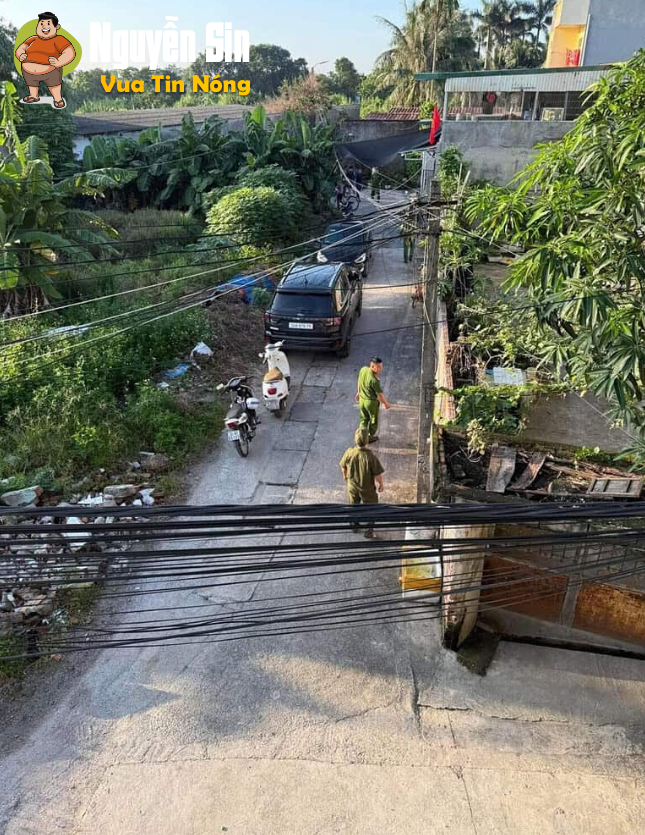 Thương bé quá