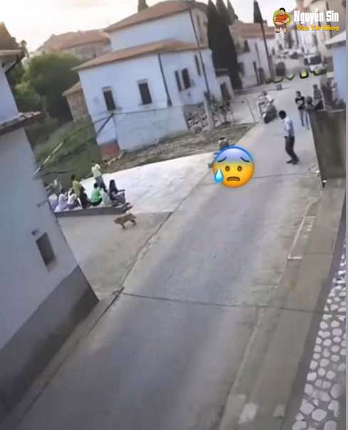 thôi xong, ông kia đứng đơ luôn