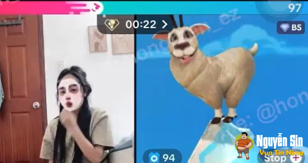 Idol tiktok đây