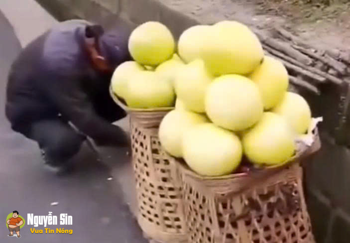 bán dưa hay bán hâu….