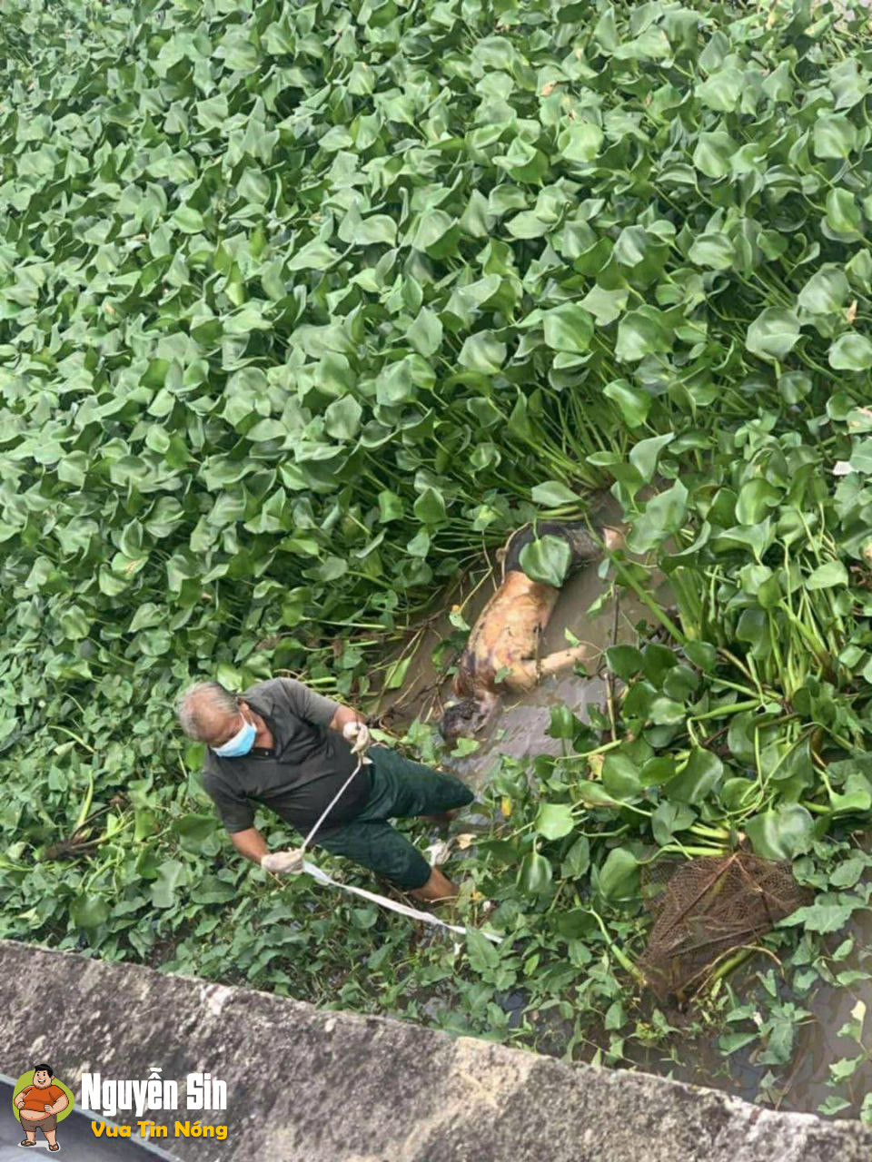 Tân Hưng – Long An (cũ). Ph@’t hi€n 1th¥.th€ n@m gi0i’