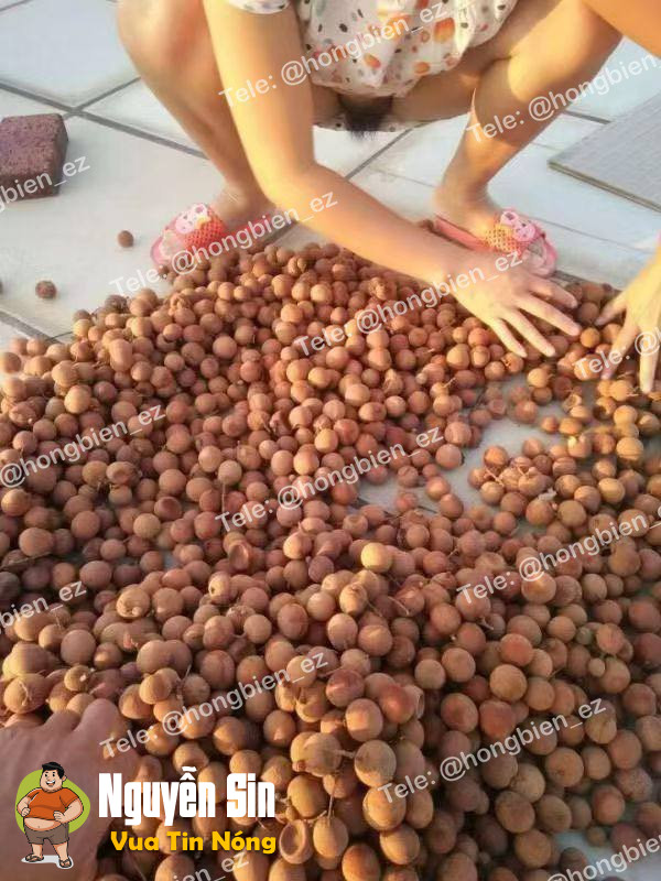 Mở hàng như này sao bán nửa