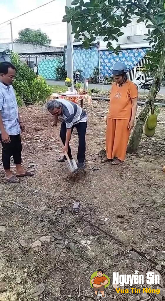 Chú Ba Minh, Cô Giao và câu chuyện xây nhà mang nhiều tranh cãi…