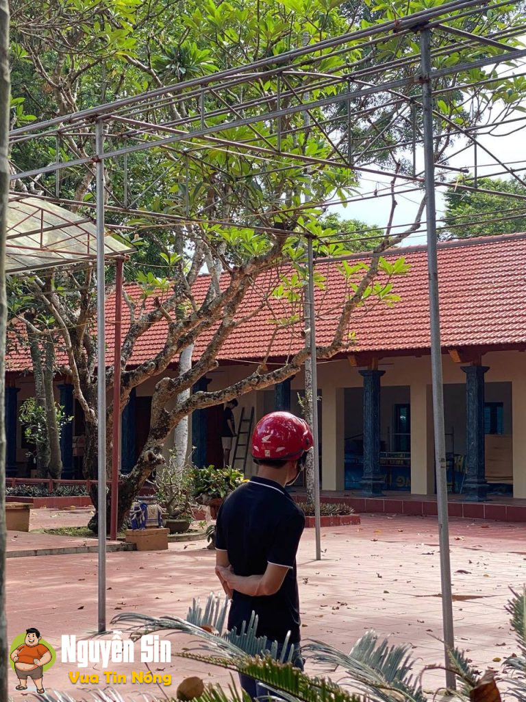 Đồng Nhân – Đông La – Hoài Đức – Hà Nội