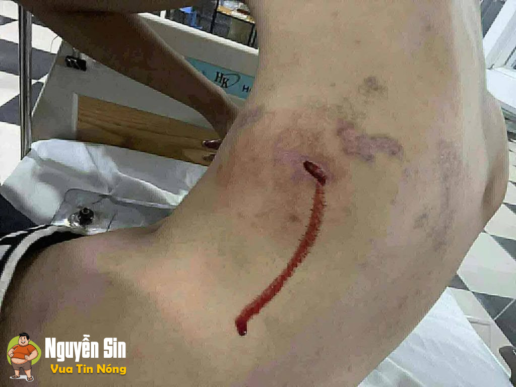Thpt Việt Bắc – Lạng Sơn