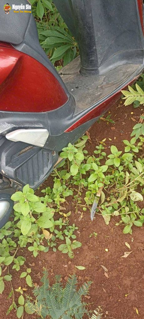 Đăk Lăk: Đã bắt được đối tượng sathai 4ng