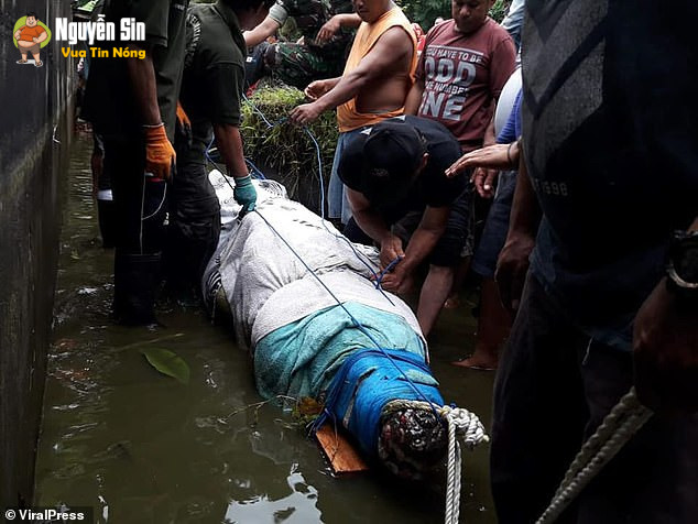 Hiện trường vụ Nhà nghiên cứu nữ bị cá sấu nuôi làm thú cưng zie’t che’t tại trang trại