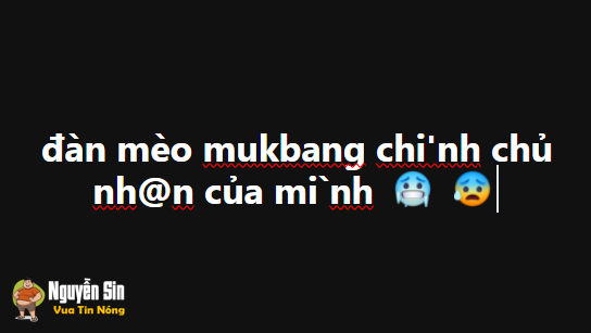 đàn mèo mukbang chính chủ nhân của mình
