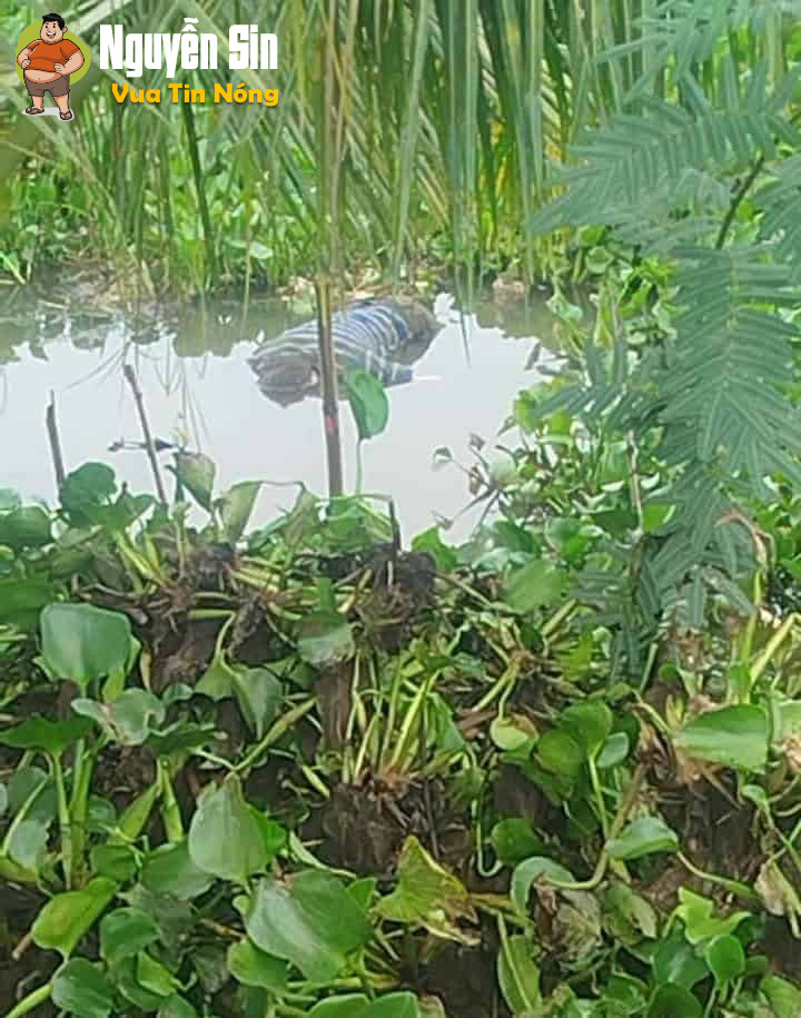 Phát hiện 1 thithe đang phanhuy ở Tân Phước – Tiền Giang