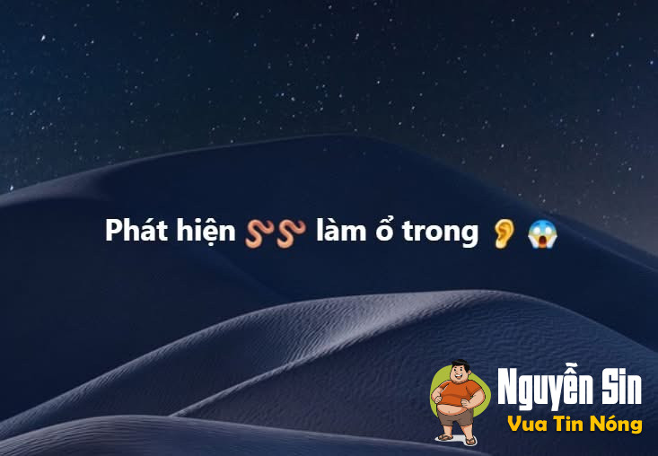 Giòi làm ổ trong tai Giòi làm ổ trong tai