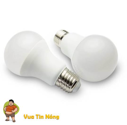 Thanh niên nước ngoài chơi ngu nhất năm