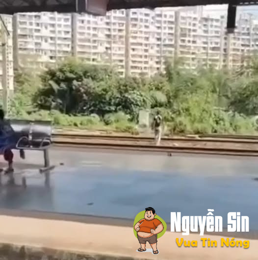 Một thanh niên bất ngờ l/a:o vào khi đoàn tàu đi tới 