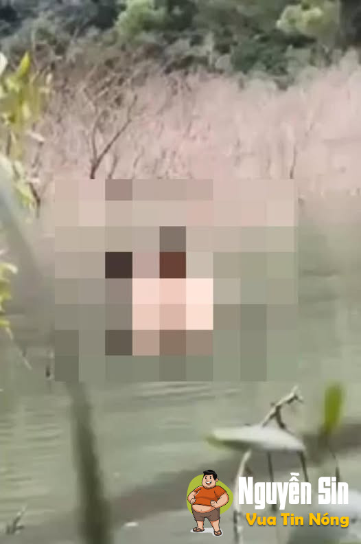 Vjdeo hòa mình vào thiên nhjen