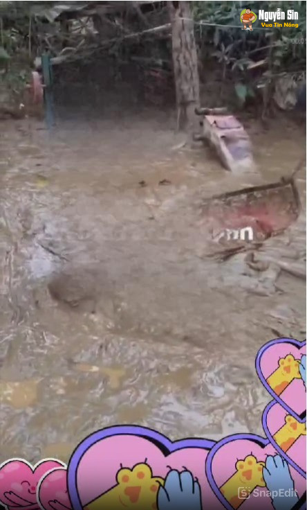 Tắm bùn gì chưa người đẹp