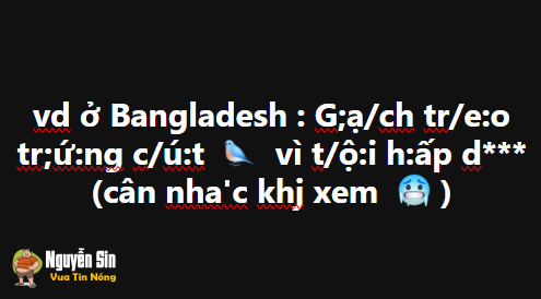 Bangladesh : g:ạ:ch treo trứng cút