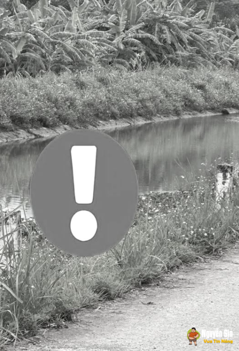 Sáng Nay tại đường vào cầu Lân – Gia Hòa – Gia Viễn – Ninh Bình