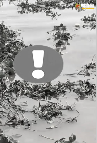 An Giang: Nghe bảo do thằng con nghiện ngập, cờ bạc nên người mẹ tutu😥