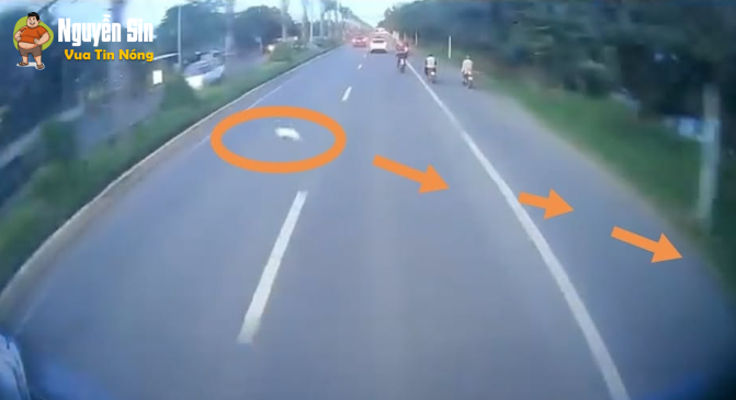 Vụ tai nạn che’t ng` tại đoạn gần cầu gò găng chiều qua, nghi liên quan đến cho’ mèo chạy qua đường .