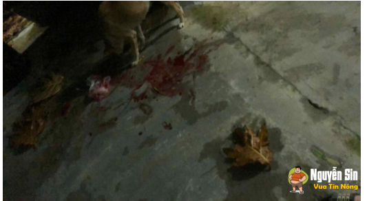 Quảng Ngãi: Nơi lạnh nhất lúc này