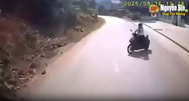 Ôi thôi xong !!!!!!