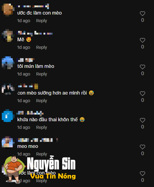 Diện mạo mới của Zin thích nấu ăn Diện mạo mới của Zin thích nấu ăn