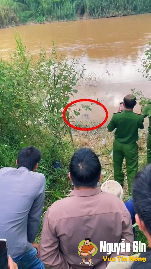 Phát hiện 1 con cá Sấu khổng lồ ở Khánh Hòa Phát hiện 1 con cá Sấu khổng lồ ở Khánh Hòa