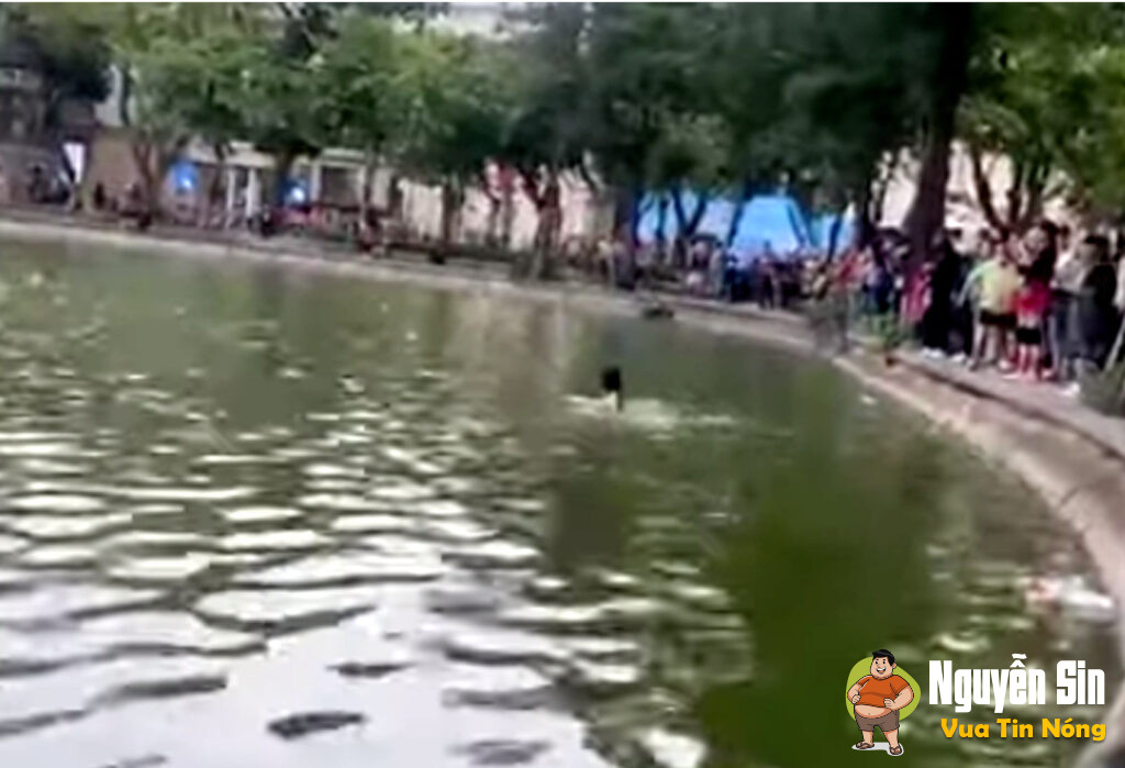 Một cô gái thoát y đi xuống hồ Gươm và từ từ ra đi mãi mãi