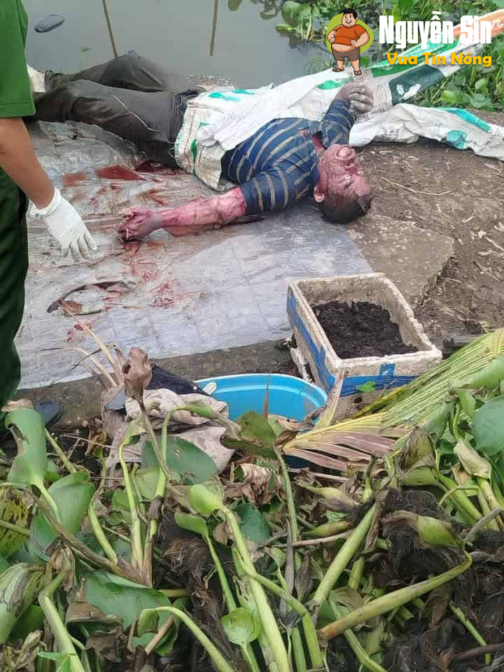 Phát hiện 1 thithe đang phanhuy ở Tân Phước – Tiền Giang