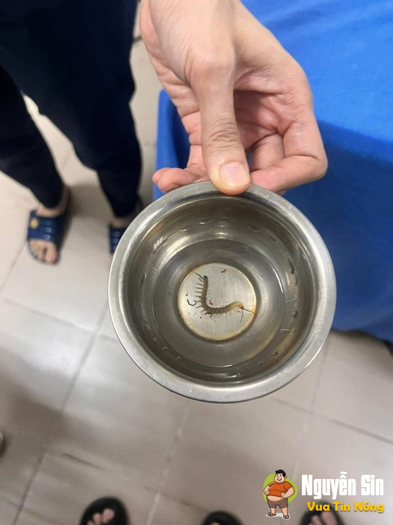 CÓ THỂ LÀ SỢ ĐẾN GIÀ… CÓ THỂ LÀ SỢ ĐẾN GIÀ…