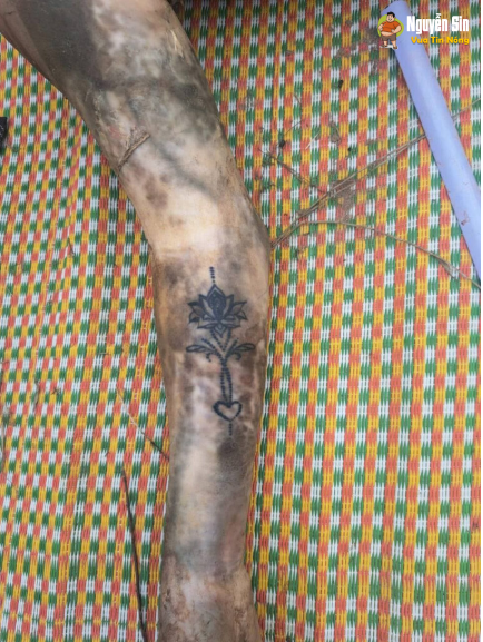 Phát hiện thjthe nữ giới trôi sông ở xã Đức Hợp, tỉnh Hưng Yên. Trên co?, cánh tay phải, mạng sườn trái có hình xăm.