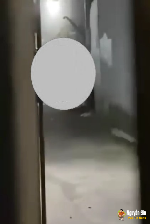 Phú Thọ : Thanh niên vuốt trụ điện, Chị e đi đường đêm khuya cẩn thận gặp các tình trạng bi3’n th:a’i nhé