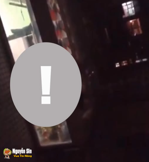 Thằn lằn bám kính hả???