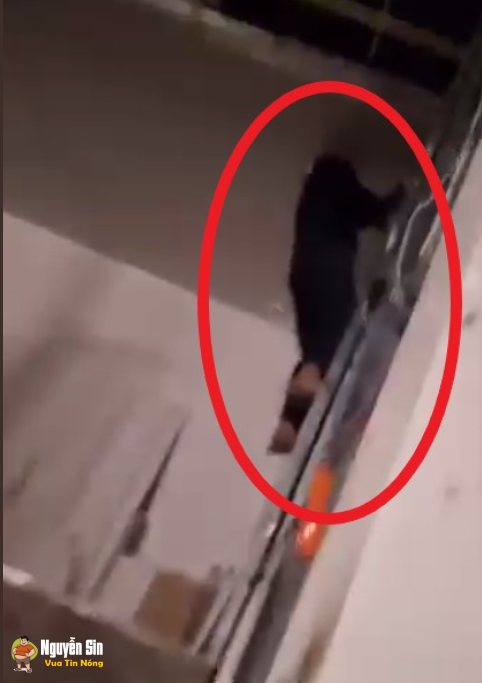 Coi mà cứ sợ giùm thằng ăn tr:ộm