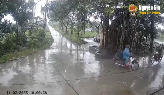 Mưa gió mà ₫óng căng tít.