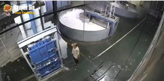 TNLĐ : còn gì là chân nữa