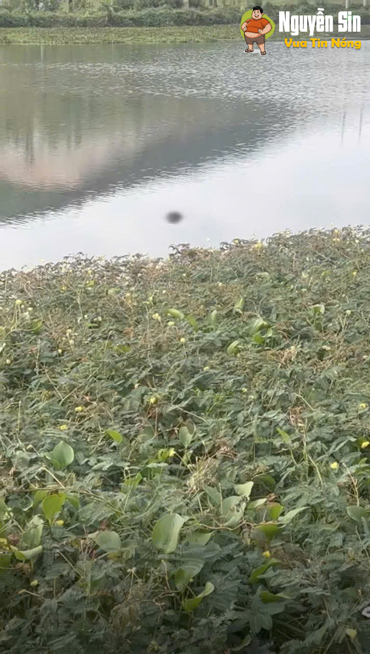 Đã tìm thấy bạn nam câu cá…xót xa quá- cân nhắc khi xem