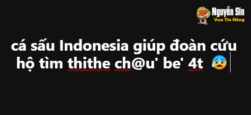 cá sấu Indonesia giúp đoàn cứu hộ tìm thithe ch@u’ be’ 4t
